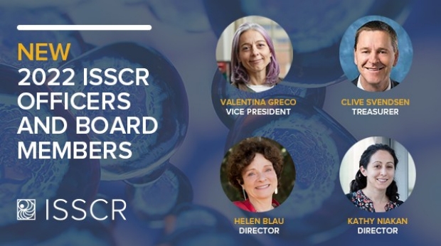 Helen Blau Elected to the ISSCR Board of Directors